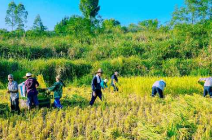 秋分朋友圈說說心情短語 秋分唯美說說大全 秋分朋友圈說說心情短語 秋分唯美說說大全