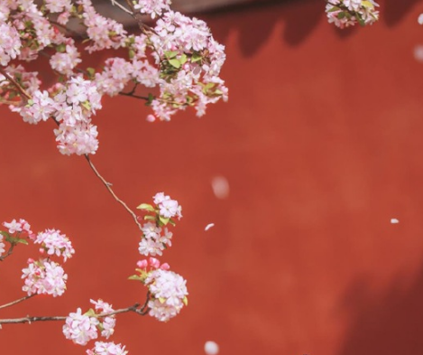 秋分朋友圈說說心情短語 秋分唯美說說大全 秋分朋友圈說說心情短語 秋分唯美說說大全