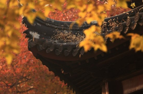 2019秋天你好文字圖片說說 秋天你好朋友心情句子