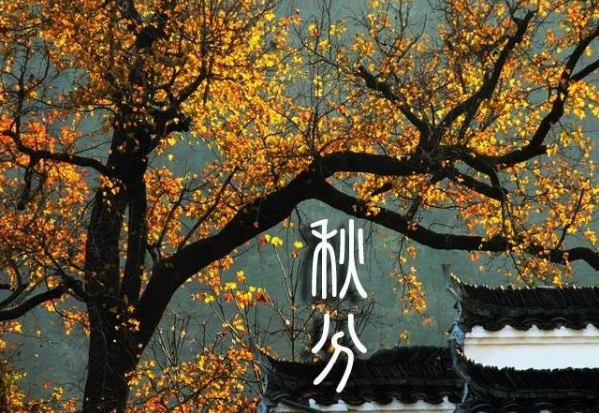 2019描寫秋分的古詩詞有哪些 秋分的優美有意境古詩詞句子 2019描寫秋分的古詩詞有哪些 秋分的優美有意境古詩詞句子