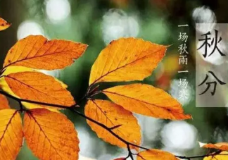 2019秋分節氣手抄報大全 簡單漂亮的秋分手抄報圖片