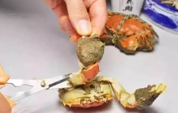 螃蟹哪些部位不能吃圖解 螃蟹怎么吃圖解