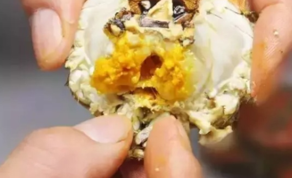 螃蟹哪些部位不能吃圖解 螃蟹怎么吃圖解