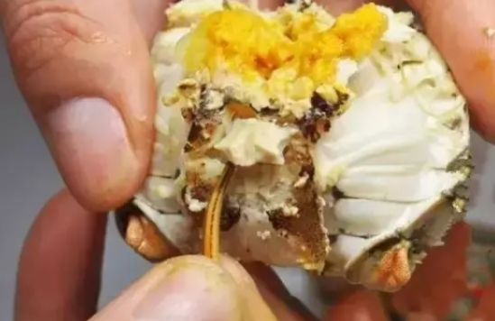 螃蟹哪些部位不能吃圖解 螃蟹怎么吃圖解