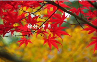 2019又是一年十月的朋友圈說說 又是一年十月的唯美說說句子