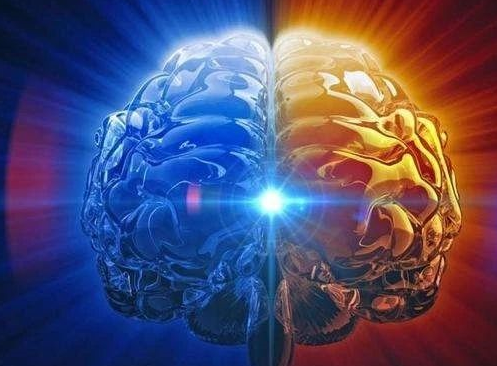 研究稱人能感知自己已死亡是真的嗎 人如何能感知自己的死亡 研究稱人能感知自己已死亡是真的嗎 人如何能感知自己的死亡