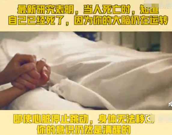 人能感知自己已經(jīng)死亡是怎么回事 人死后意識(shí)還能存在多久 人能感知自己已經(jīng)死亡是怎么回事 人死后意識(shí)還能存在多久