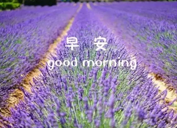 10月正能量經(jīng)典早安語錄 十月早安心語說說