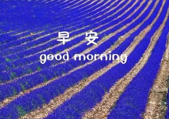 10月正能量經(jīng)典早安語錄 十月早安心語說說