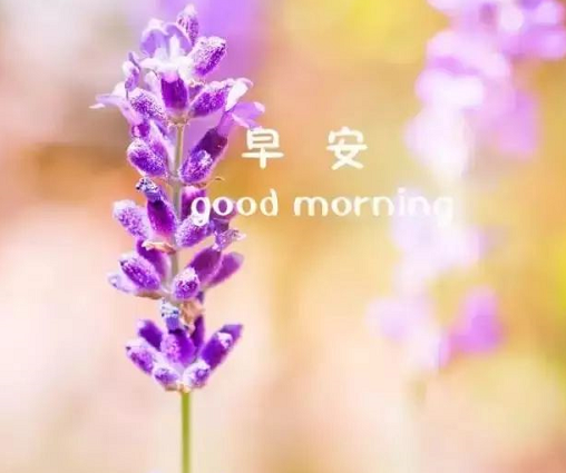 10月正能量經(jīng)典早安語錄 十月早安心語說說