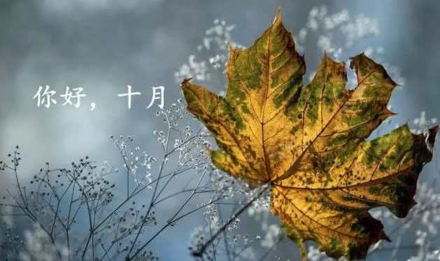 2019最暖心十月你好心請說說配圖 十月你好正能量說說句子 2019最暖心十月你好心請說說配圖 十月你好正能量說說句子