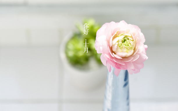 2019最暖心十月你好心請說說配圖 十月你好正能量說說句子 2019最暖心十月你好心請說說配圖 十月你好正能量說說句子