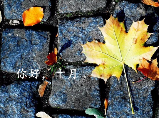 十月第一天暖心祝福語 十月第一天早安心語語錄