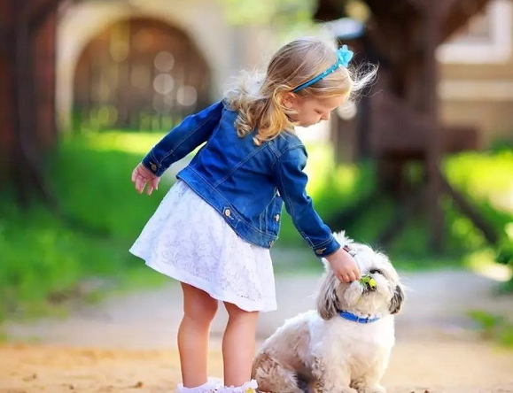 十月第一天暖心祝福語 十月第一天早安心語語錄