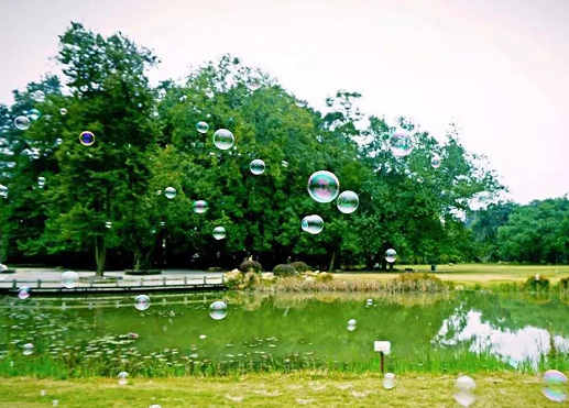 2019幼兒園秋游活動方案大全 幼兒園秋游活動方案三篇 2019幼兒園秋游活動方案大全 幼兒園秋游活動方案三篇