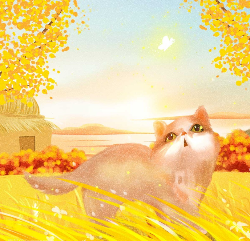 秋天沒錢買衣服的說說 沒錢買衣服的說說朋友圈