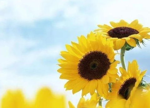 十月加油圖片帶字說說2019 十月加油經典語錄 十月加油圖片帶字說說2019 十月加油經典語錄