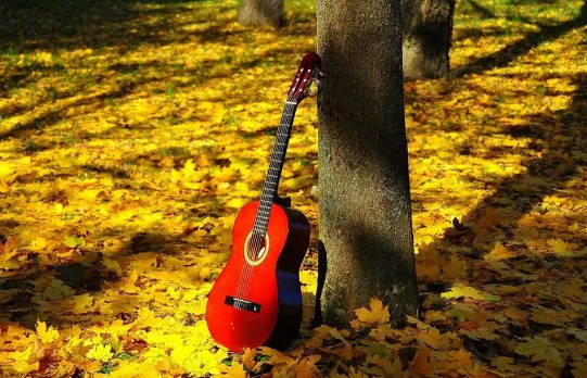 10月早安心語優(yōu)美溫馨語錄2019 十月最新早安唯美句子