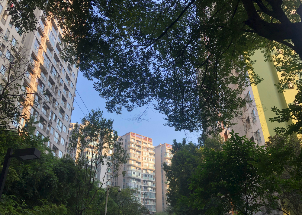 贊美桂花香的心情句子 描寫桂花香的唯美句子感慨