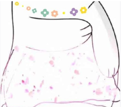 微信朋友圈小熊怎么發 微信朋友圈小熊升級版圖片大全 微信朋友圈小熊怎么發 微信朋友圈小熊升級版圖片大全