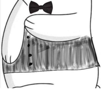 微信朋友圈小熊怎么發 微信朋友圈小熊升級版圖片大全 微信朋友圈小熊怎么發 微信朋友圈小熊升級版圖片大全