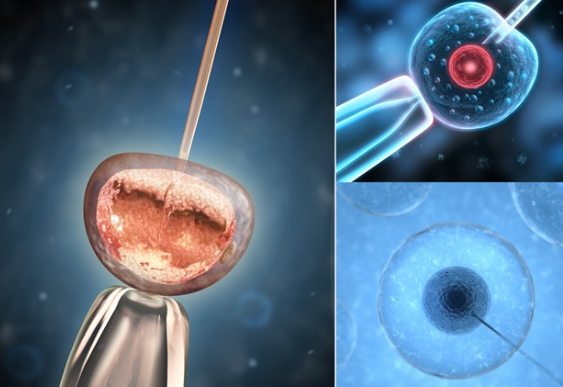 試管嬰兒壽命和正常孩子一樣嗎 試管嬰兒壽命有多長