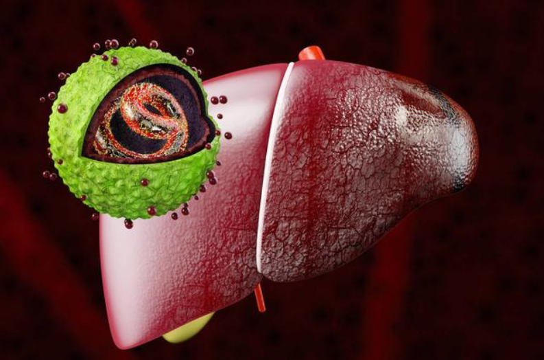 乙肝能做試管嬰兒嗎 乙肝做試管嬰兒要注意什么