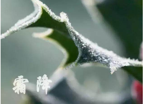 霜降手抄報文字內(nèi)容素材 霜降手抄報文字部分怎么寫