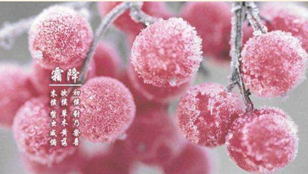 2019霜降出生的女孩如何取名 霜降女寶寶名字大全