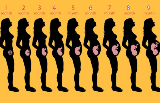 懷孕1-2周有什么感覺 孕早期有什么感覺 懷孕1-2周有什么感覺 孕早期有什么感覺