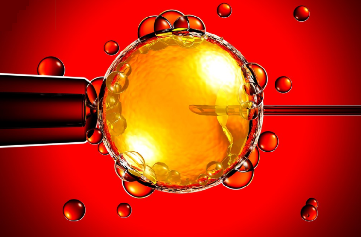 供卵試管嬰兒和普通試管嬰兒有什么不同 供卵試管嬰兒和普通試管嬰兒的區別