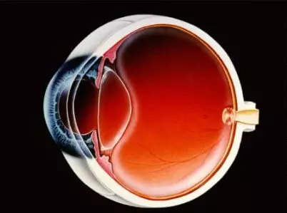 幼兒園國際盲人節(jié)活動策劃方案 幼兒園國際盲人節(jié)活動策劃