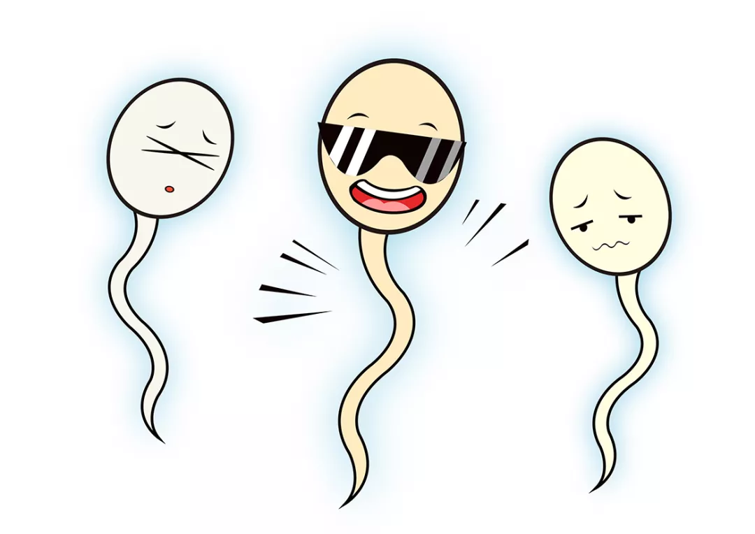 備孕了很久沒懷上孩子是怎么回事 備孕時間長是沒懷上是誰的問題