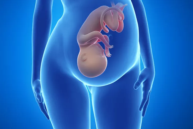 孕37周和40周出生有沒有區別 寶寶在媽媽肚子里的時間越長越好嗎