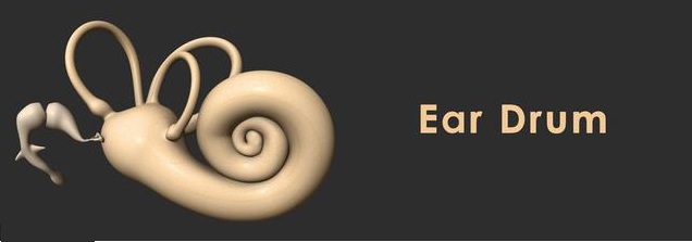 新生兒聽力篩查不過關(guān)是聽力障礙嗎 新生兒聽力篩查未通過什么時(shí)候復(fù)查