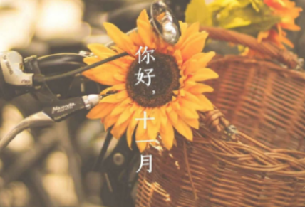 十月再見十一月你好句子帶圖片 十月再見十一月你好朋友圈說說