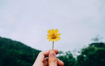 十月再見十一月你好句子帶圖片 十月再見十一月你好朋友圈說說