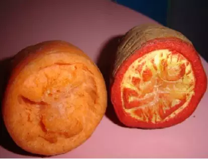 幼兒園活動(dòng)教案:蔬菜小印章