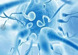精子不液化是什么原因造成的 精子不液化還能懷孕嗎