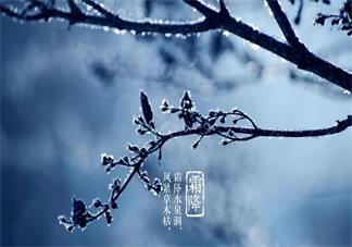 孩子出生在霜降前屬于什么季節(jié) 霜降出生的孩子好不好