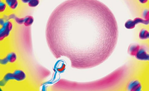 準媽媽怎么預防宮外孕 預防宮外孕的方法 準媽媽怎么預防宮外孕 預防宮外孕的方法