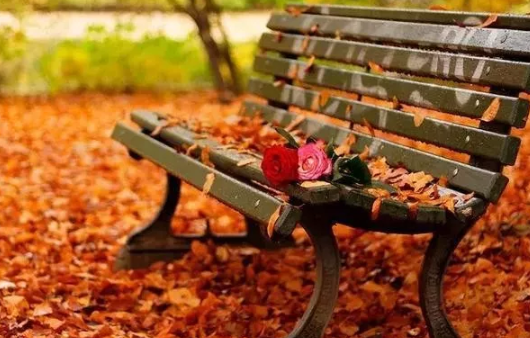 秋天怎么發(fā)朋友圈說(shuō)說(shuō) 適合秋天發(fā)的朋友圈句子