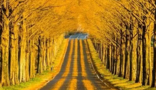 秋天怎么發(fā)朋友圈說(shuō)說(shuō) 適合秋天發(fā)的朋友圈句子