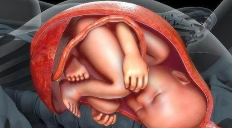 產(chǎn)前一個(gè)月要注意哪些事情 產(chǎn)前一個(gè)月注意事項(xiàng)