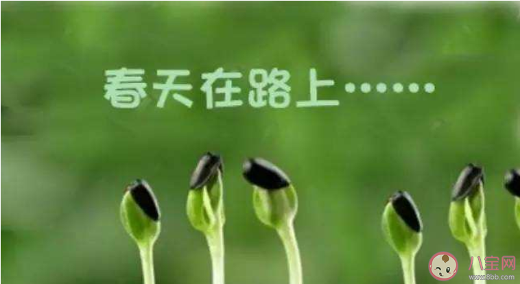 如果冬天來了春天還會遠嗎出自哪里 如果冬天來了春天還會遠嗎有什么含義