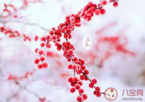 關于立冬的古詩句有哪些 描寫立冬的詩句大全