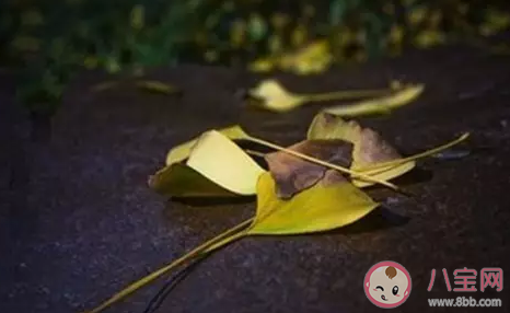 關于立冬的古詩句有哪些 描寫立冬的詩句大全