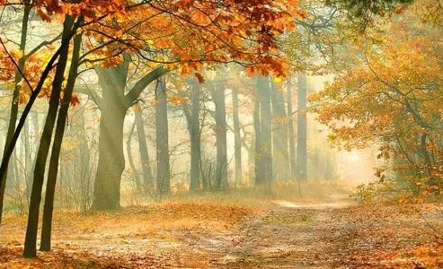 2019立冬是幾月幾日 立冬節氣的由來