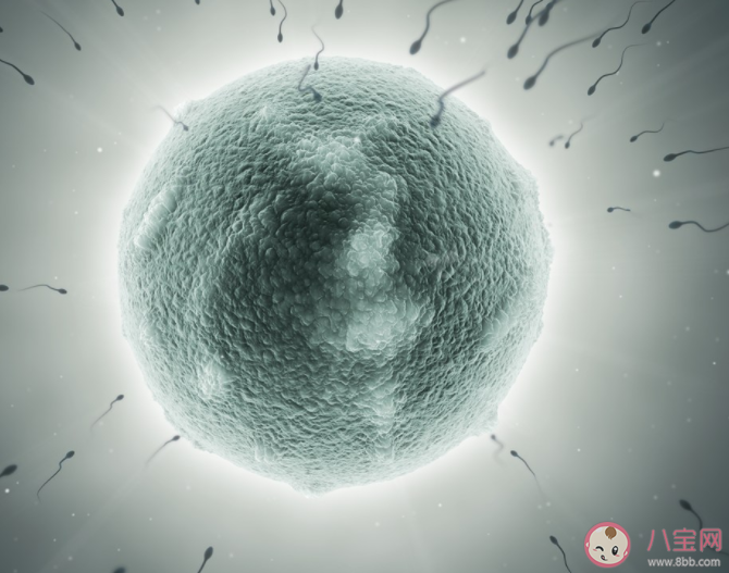 導致弱精癥的因素有什么 弱精癥的危害 導致弱精癥的因素有什么 弱精癥的危害