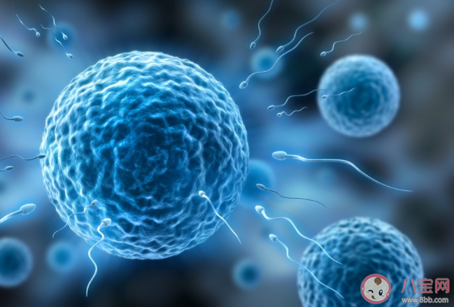 導致弱精癥的因素有什么 弱精癥的危害 導致弱精癥的因素有什么 弱精癥的危害